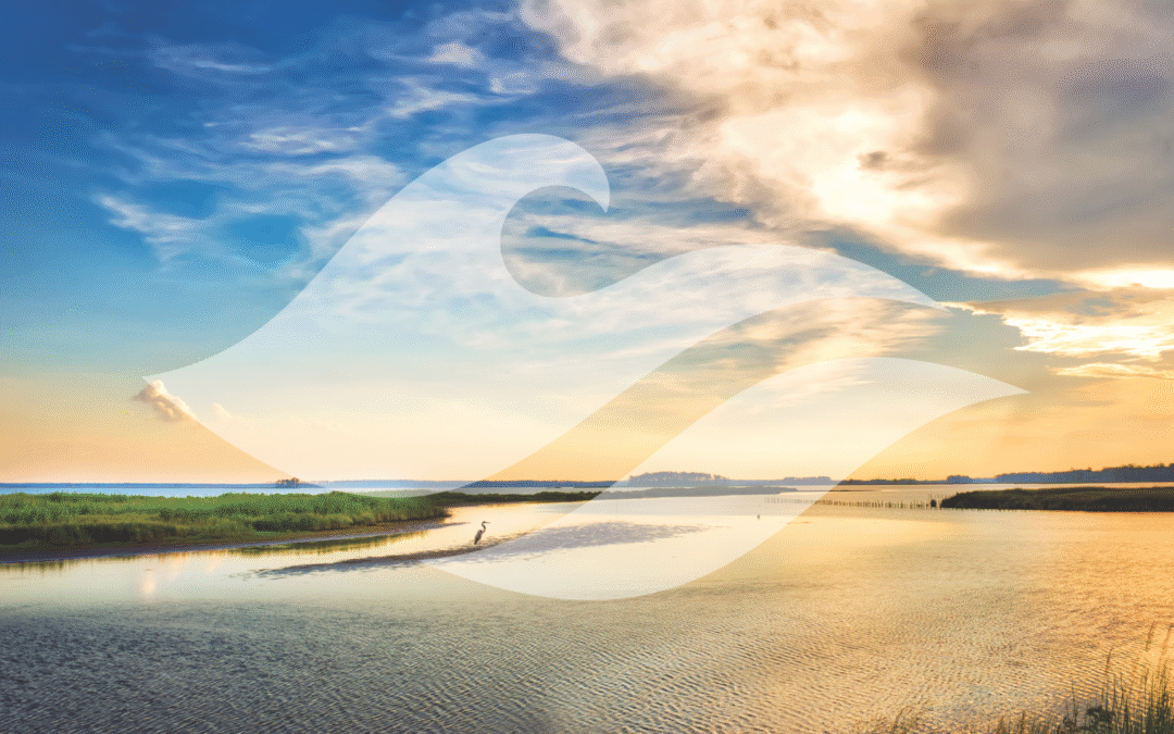 We’re Changing The Story